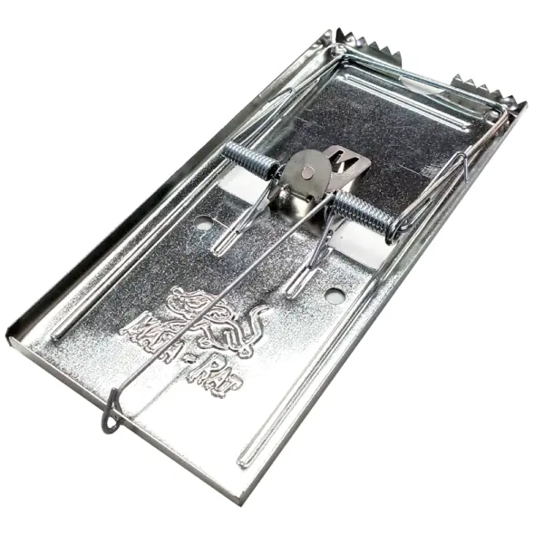 Trampa Grande Para Rata Chapa Grande