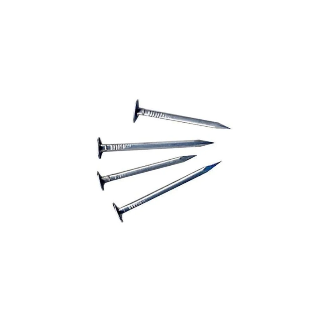 Clavo Punta Paris 21.35 X 2.7mm X Kg